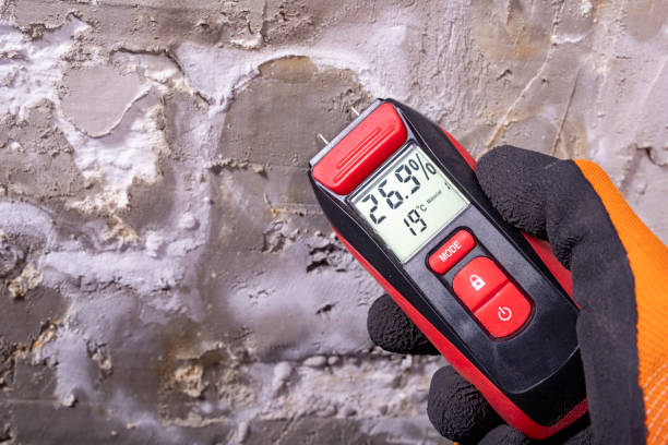Best Commercial Mold Removal  in University Of Pittsburgh Johnstown, PA