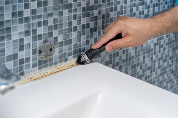 Office Mold Removal Services in University Of Pittsburgh Johnstown, PA